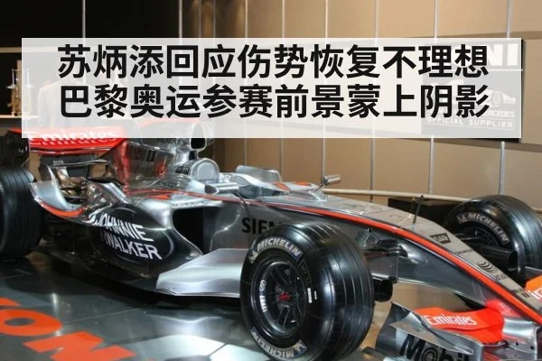 苏炳添回应伤势恢复不理想 巴黎奥运参赛前景蒙上阴影