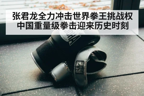 boxing gloves close up